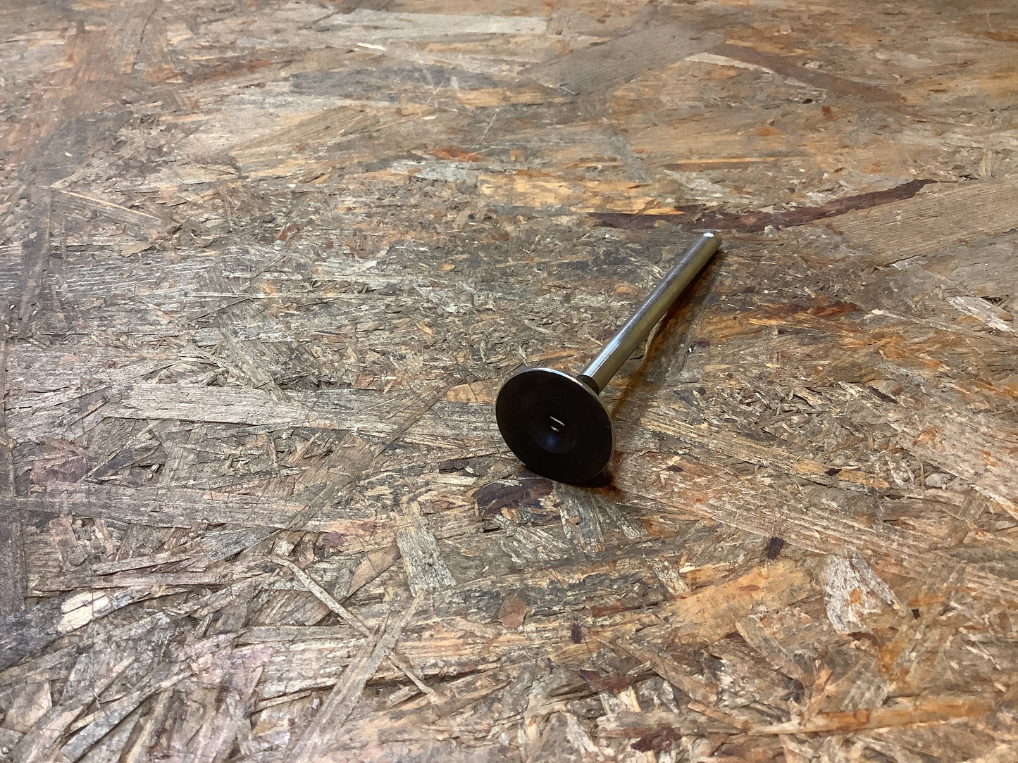 Daewoo Espero, Lacetti, Lanos, Nexia, Nubira Auslassventil Original GM NEU