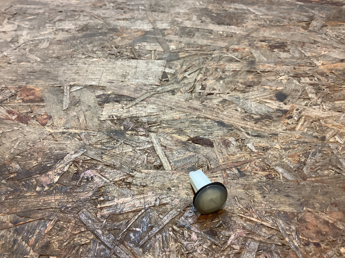 Campo Tülle, Schraube Original GM NEU