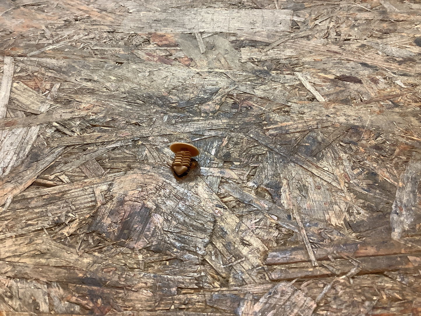 Ascona Clip, Türverkleidung Beige NEU