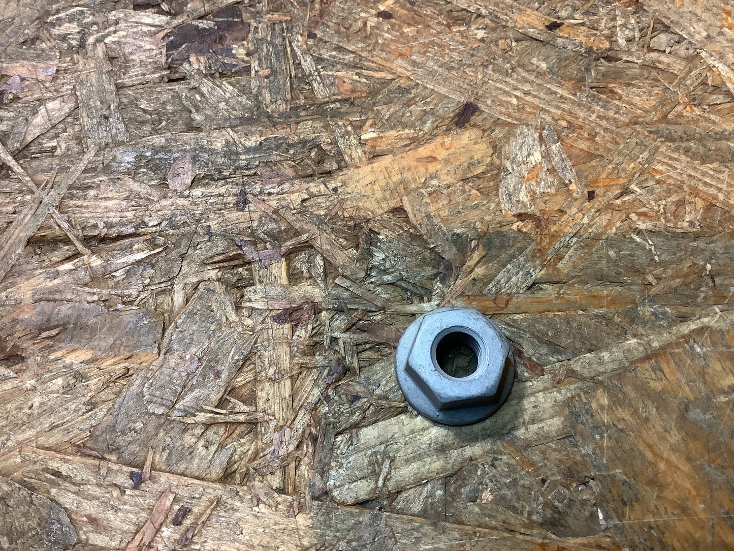 Chevrolet Aveo (T200) Mutter für Stoßstangenaufprallschutz Original GM NEU