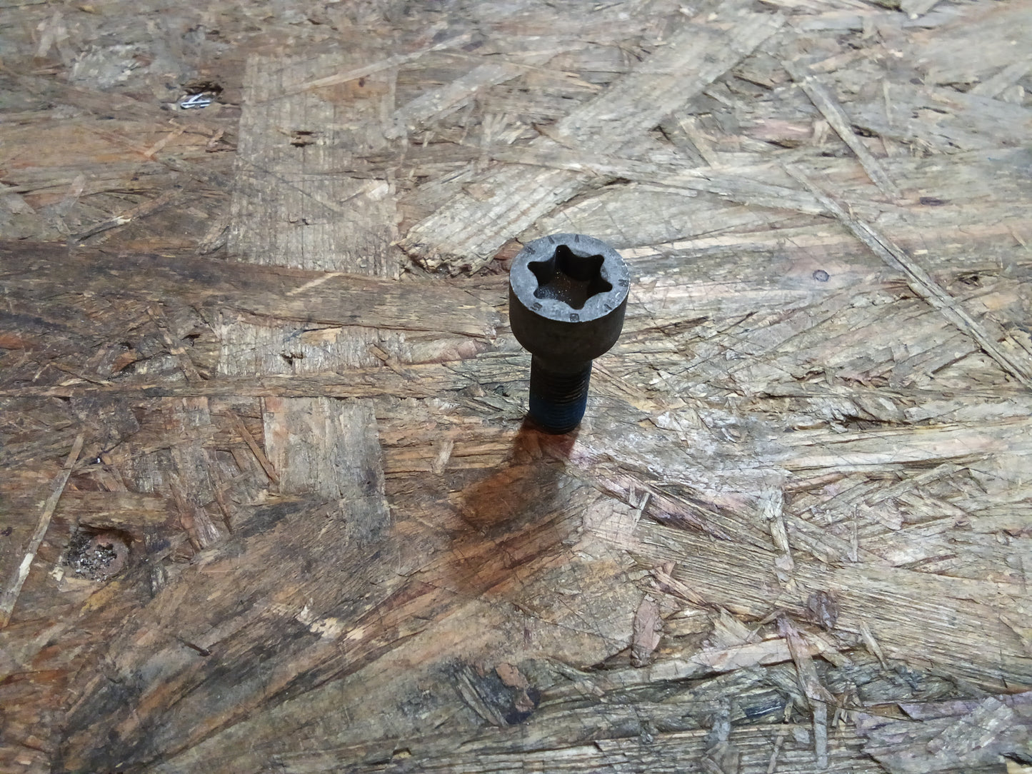 Adam Astra J Insignia Dehnschraube Schwungrad (VPE6) original GM NEU