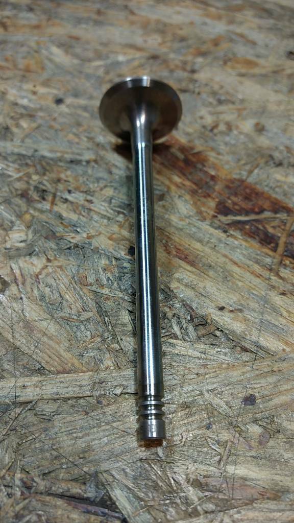 Original GM Opel Vectra B Corsa C Auslassventil NEU