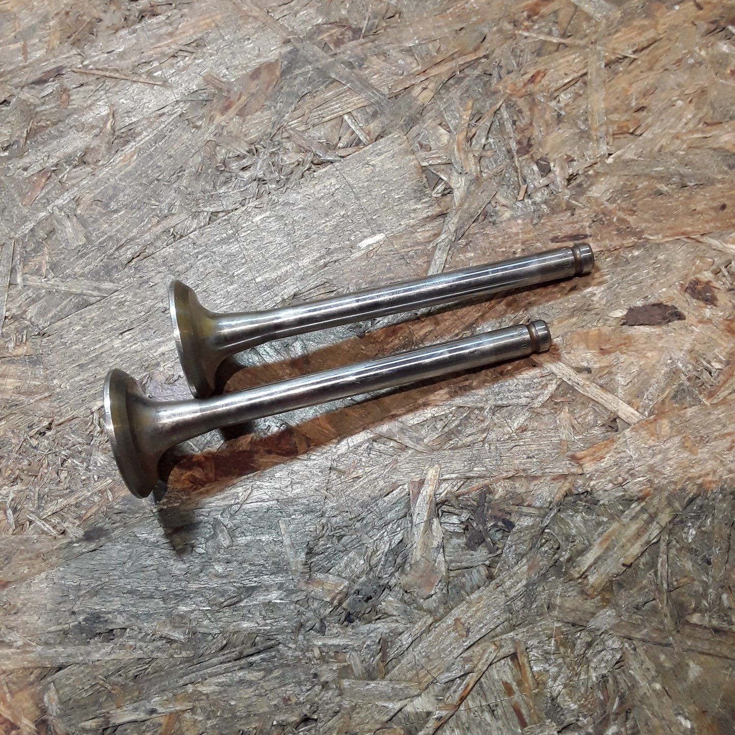 Ascona C 1,6S Kadett D/E Auslassventile 2stk original GM Opel NEU