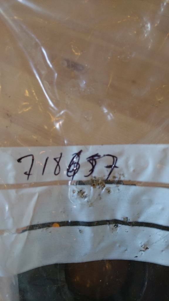 Opel Getriebe Zahnrad neu original GM