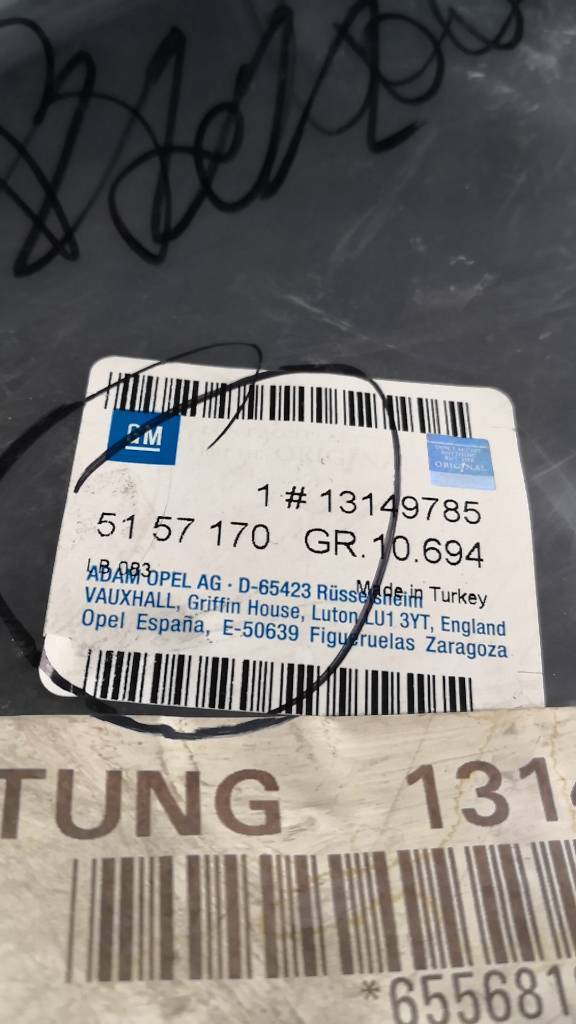 Opel Signum Dichtung Türe Hinten Links oder Rechts Neu Original