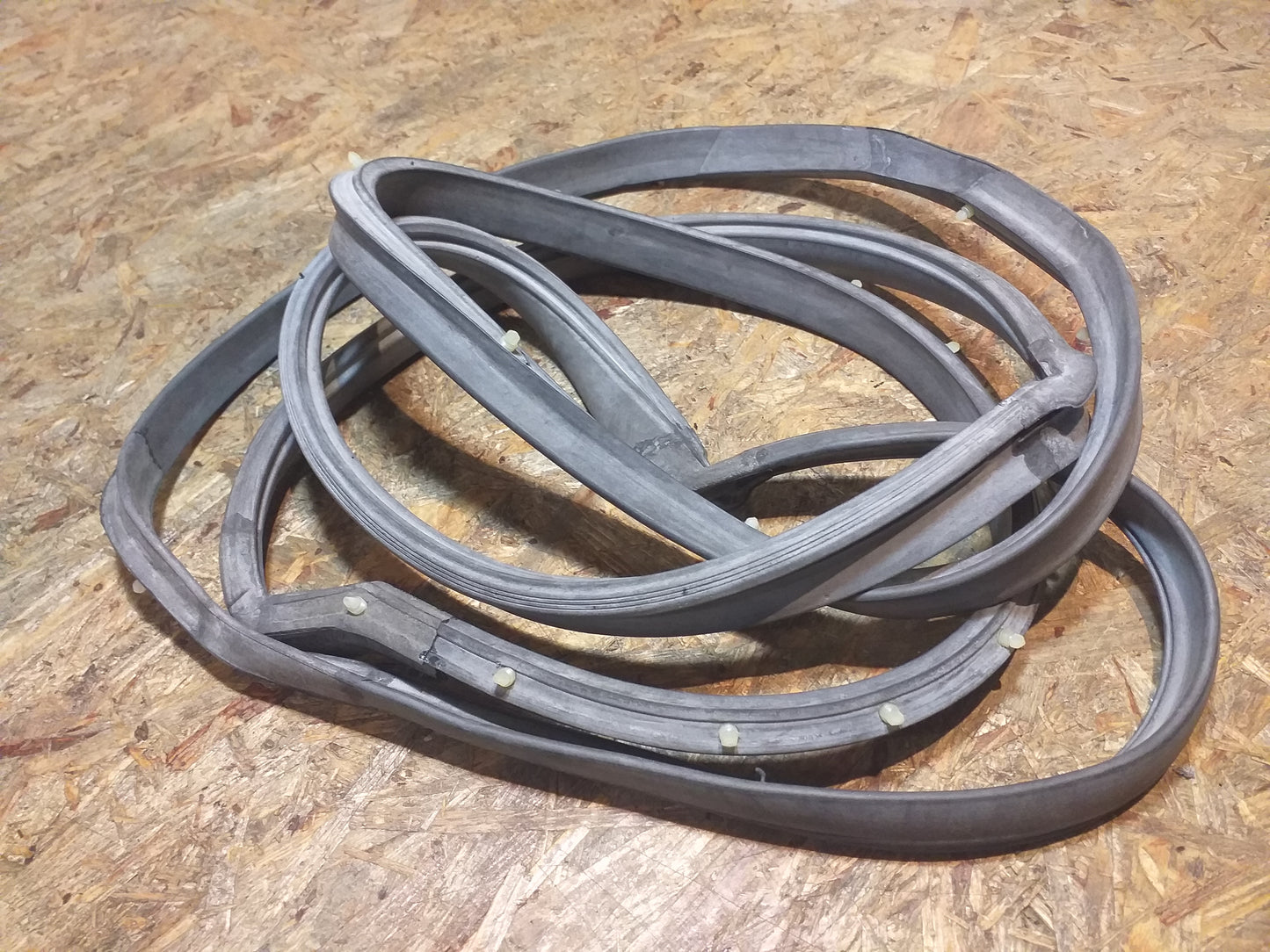 Rekord E Commodore C Gummiabdichtung rechts hinten original GM Opel NEU