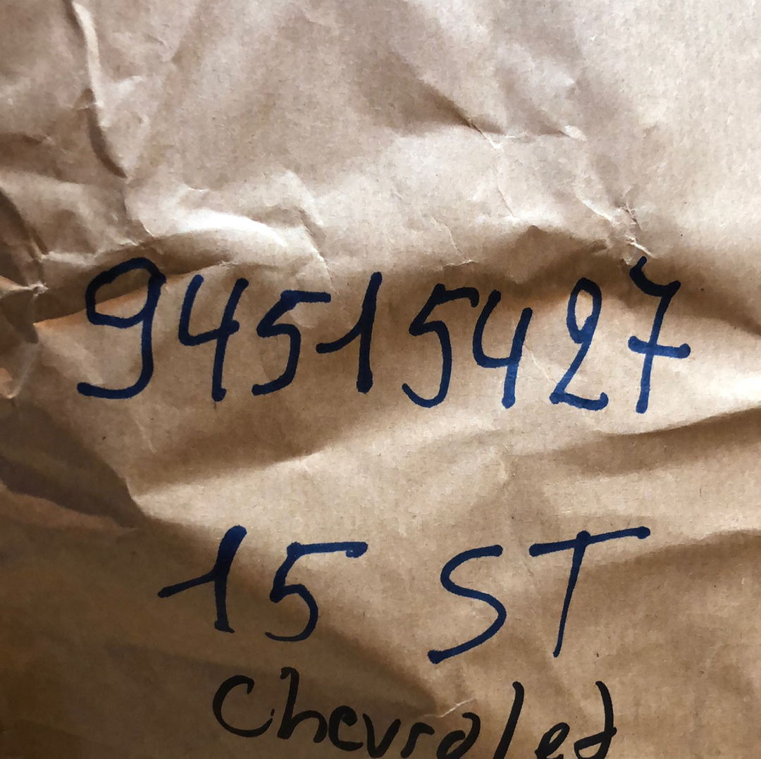 Original Chevrolet Aveo Mutter Federbein Neu