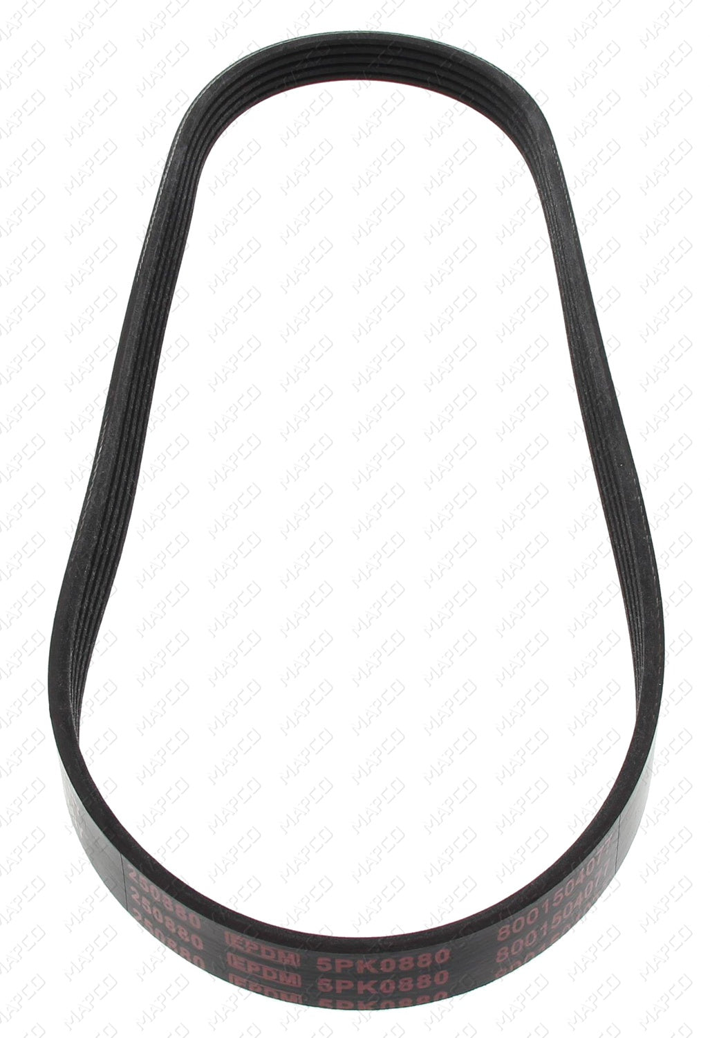 MAPCO Keilrippenriemen 250880