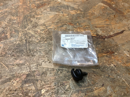 Chevrolet Halterschraube, Kofferraumnetz Original GM NEU