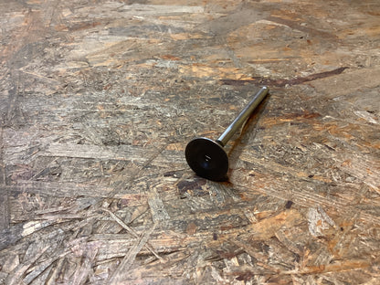 Daewoo Espero, Lacetti, Lanos, Nexia, Nubira Auslassventil Original GM NEU