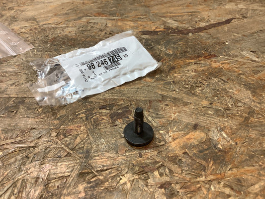 Peugeot/Citroën/Renault/VW Torxschraube Stoßfänger Original PSA Groupe NEU