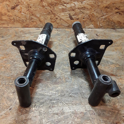 BMW E39 Pralldämpfer-Set vorne original BMW NEU