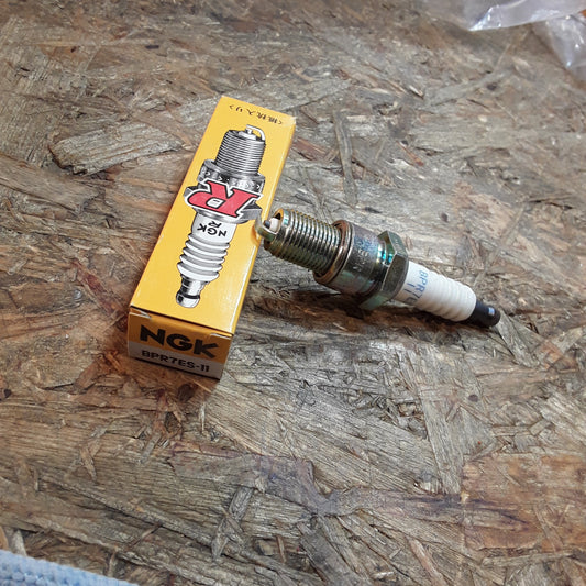Original NGK Zündkerze