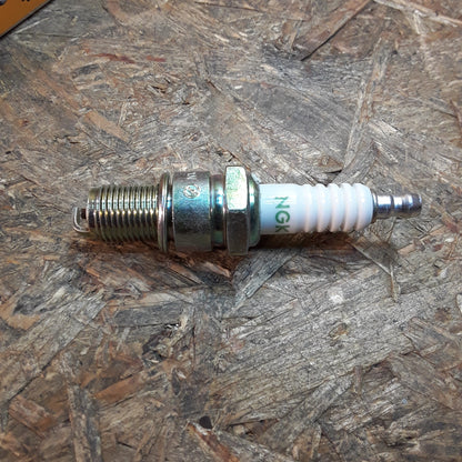 Alfa Romeo Audi BMW Fiat Ford Mercedes-Benz Nissan Opel Saab Volvo VW Zündkerze original NGK NEU