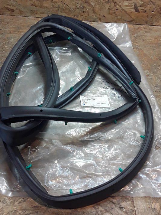 Chevrolet Sonic Türgummidichtung vorne rechts original GM NEU