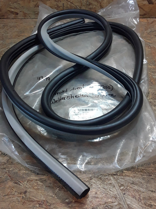 Chevrolet Aveo (T250/T255) Wetterleiste Tür vorne original GM NEU