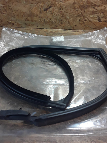 Omega B Gummiabdichtung Hintertüre links original GM NEU