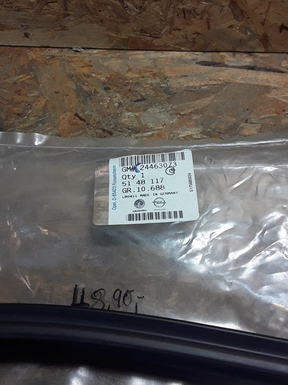 Omega B Gummiabdichtung Hintertüre links original GM NEU