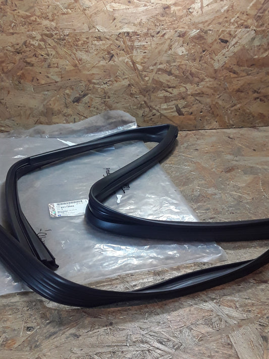 Chevrolet Spark Türgummidichtung original GM NEU