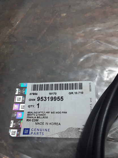 Chevrolet Spark Türgummidichtung original GM NEU