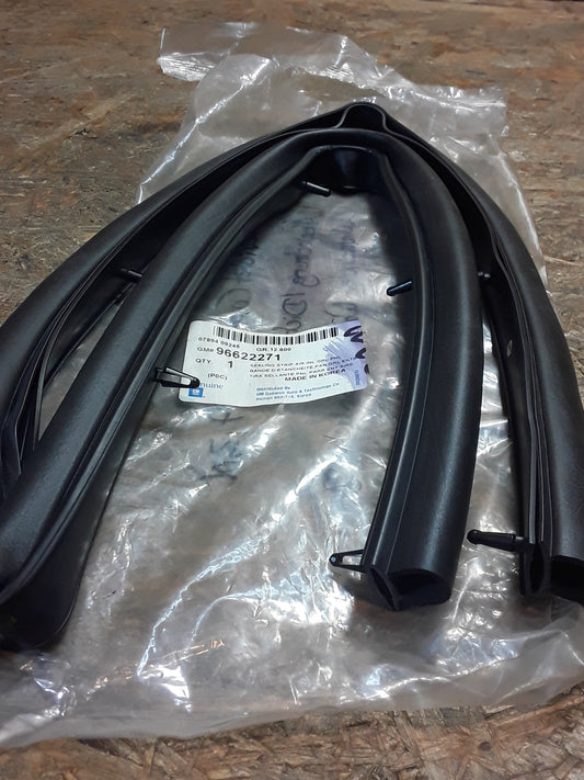 Chevrolet Captiva Bj 07, 2,0l Abdeckung Dichtung Windschutz Wasserkastenabdeckung original GM NEU