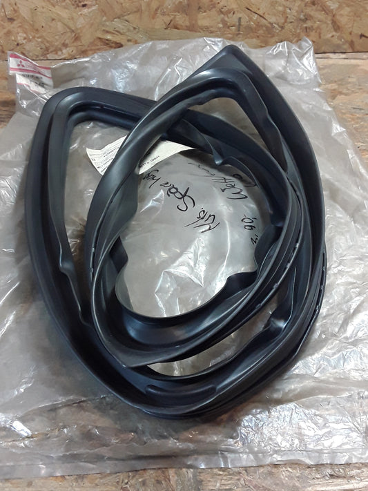 Mitsubishi Space Wagon Wetterleiste links original GM NEU