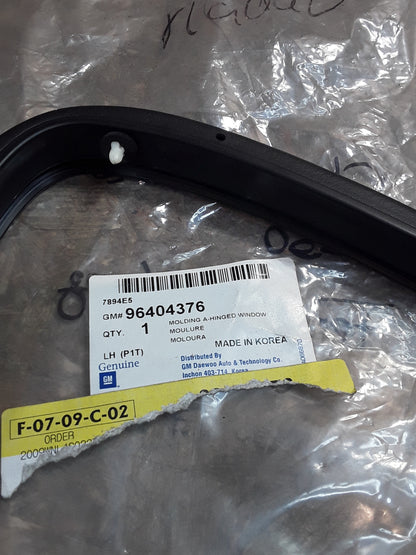 Chevrolet Aveo T250 Fensterdichtung links original GM NEU