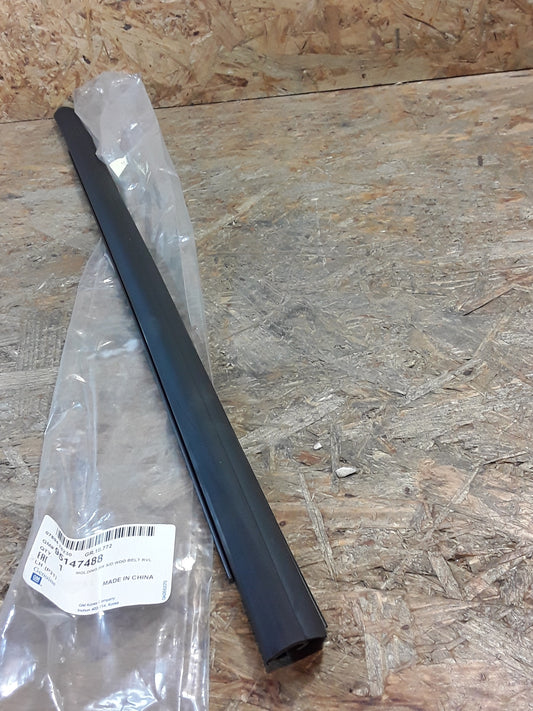 Chevrolet Sonic Bj 12-18 Fensterschachtleiste Türe hinten links original GM NEU