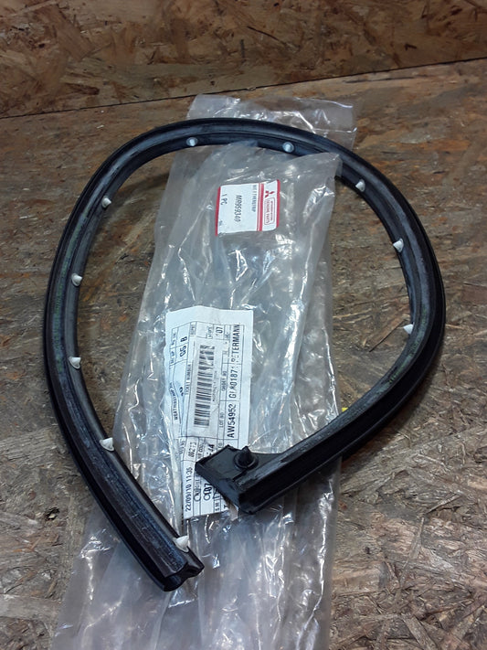 Mitsubishi Tür Dichtung hinten original Mitsubishi NEU