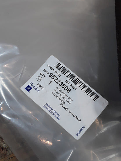 Chevrolet Captiva Isolation Motorraum original GM NEU