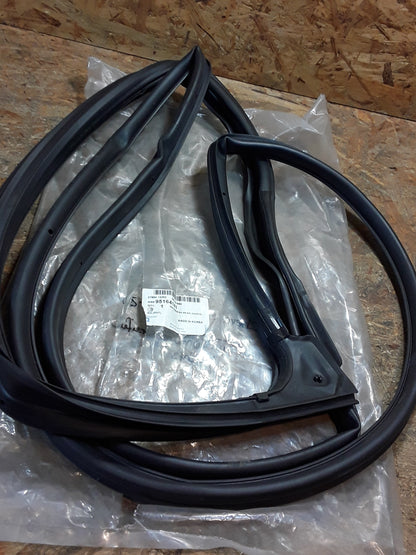 Chevrolet Sonic Bj 12-20 Türdichtungsstreifen rechts original GM NEU