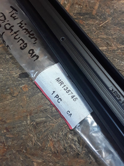 Mitsubishi Space Star Europe DG3A Tür hinten Dichtung an Fenster original Mitsubishi NEU