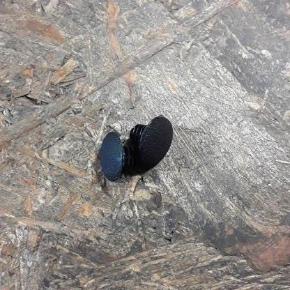 Mitsubishi Clip Motorhaube/ Motorhaubenclip an Dichtungsstreifen original Mitsubishi NEU