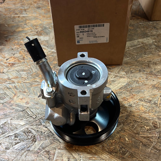 Original GM Chevrolet Rezzo Servo Pumpe NEU 96834916