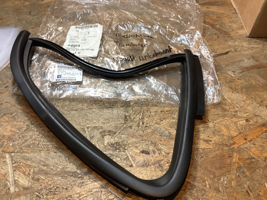 Modell unbekannt Abdichtung Türrahmen Original GM NEU