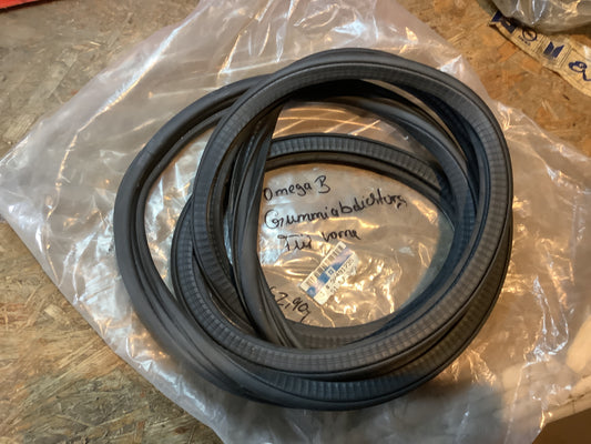 Omega B Gummiabdichtung Tür vorne Original GM NEU