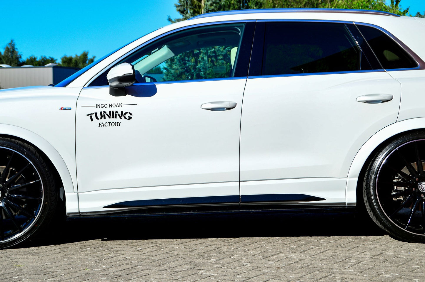 Seitenschwellersatz ABS Audi Q3, Typ F3N ab Bj.: 2019- Carbon