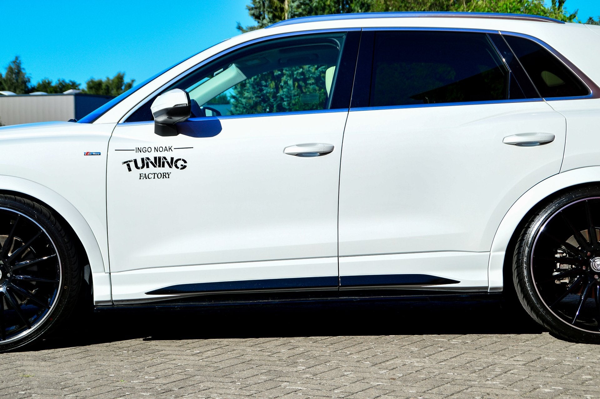 Seitenschwellersatz ABS Audi Q3, Typ F3N ab Bj.: 2019- Carbon