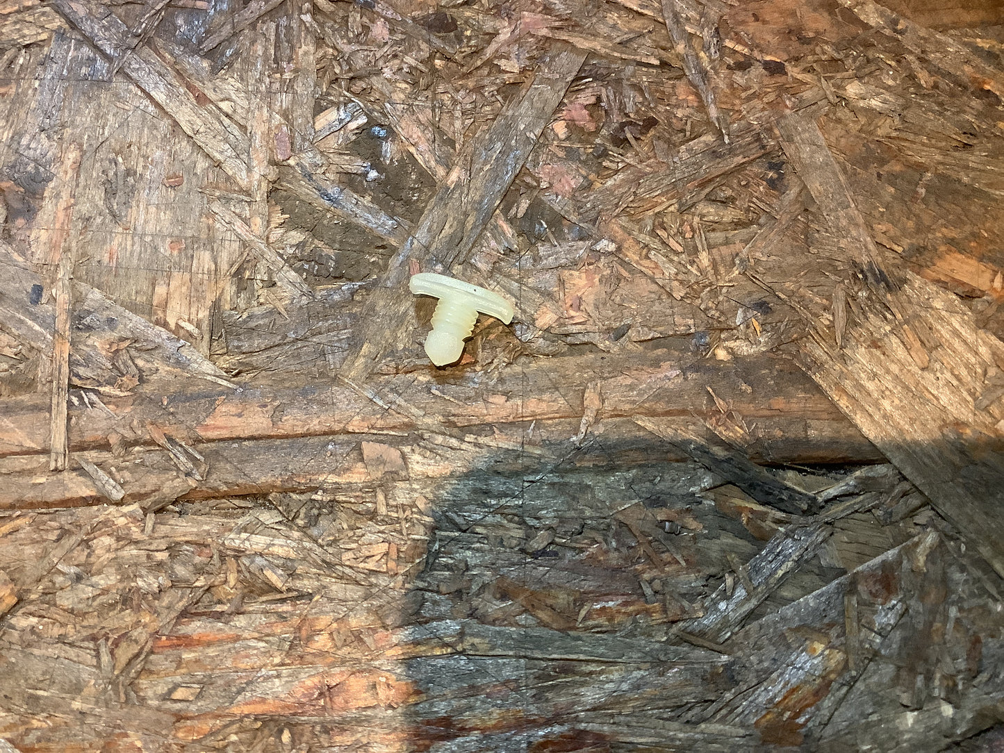 Alt Opel Modelle Türdichtung Halteclips NEU