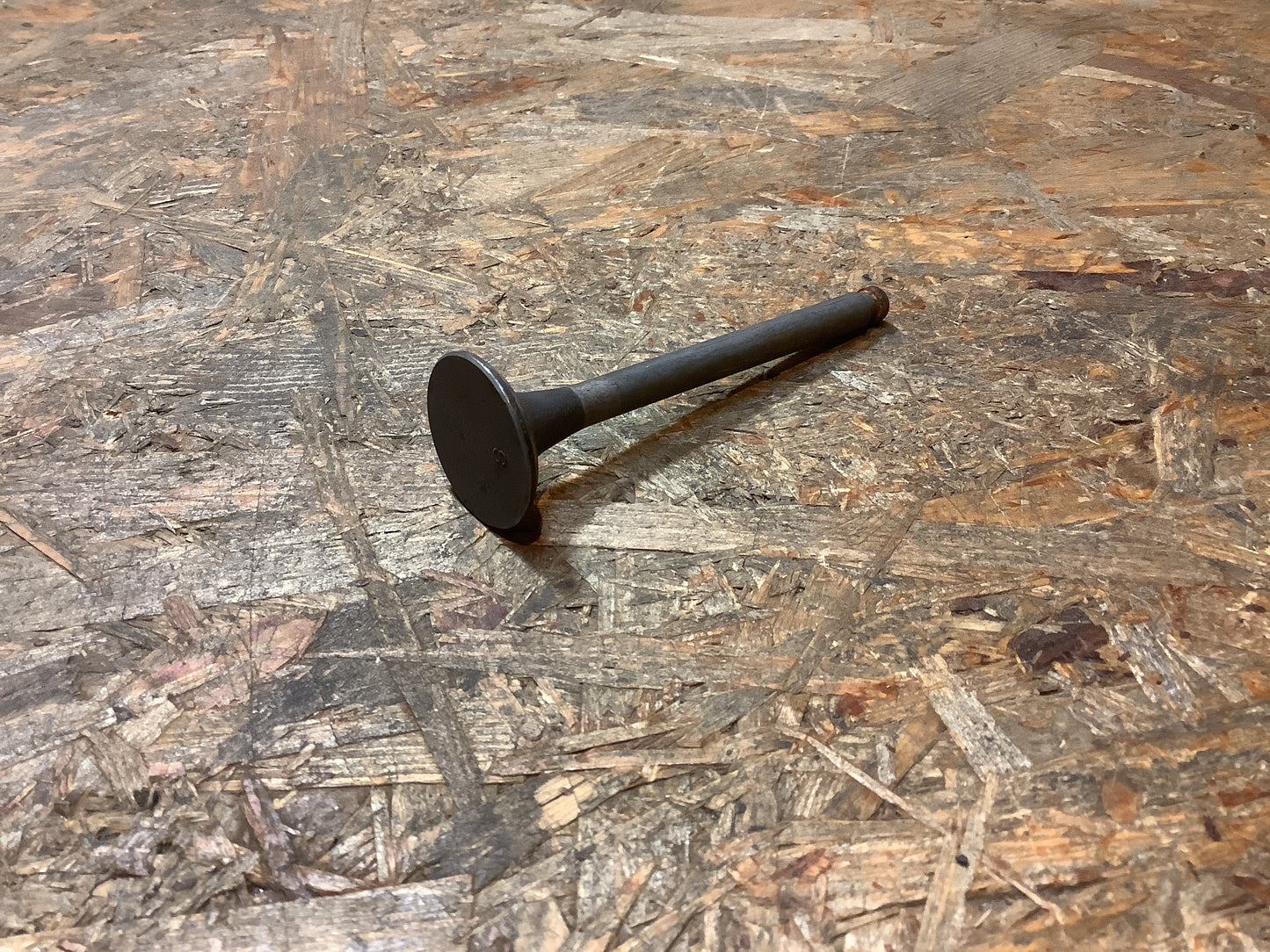 Mitsubishi Starion Auslassventil Original Mitsubishi NEU