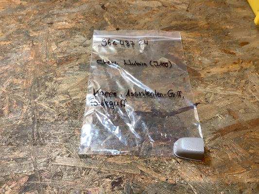 Chevrolet Nubira (J100); Kappe, Assistenten-Griff, Panikgriff Original GM NEU