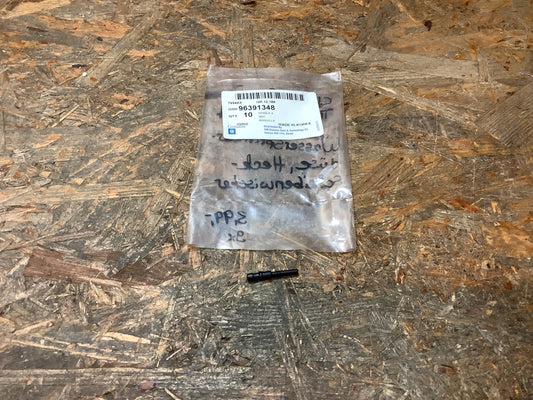 Chevrolet Rezzo Wassersprinklerdrüse, Heckscheibenwischer Original GM NEU