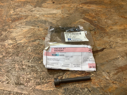 Chevrolet; Daewoo Schraube an Riemenspannrolle (M8x62) Original GM NEU