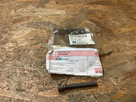 Chevrolet; Daewoo Schraube an Riemenspannrolle (M8x62) Original GM NEU