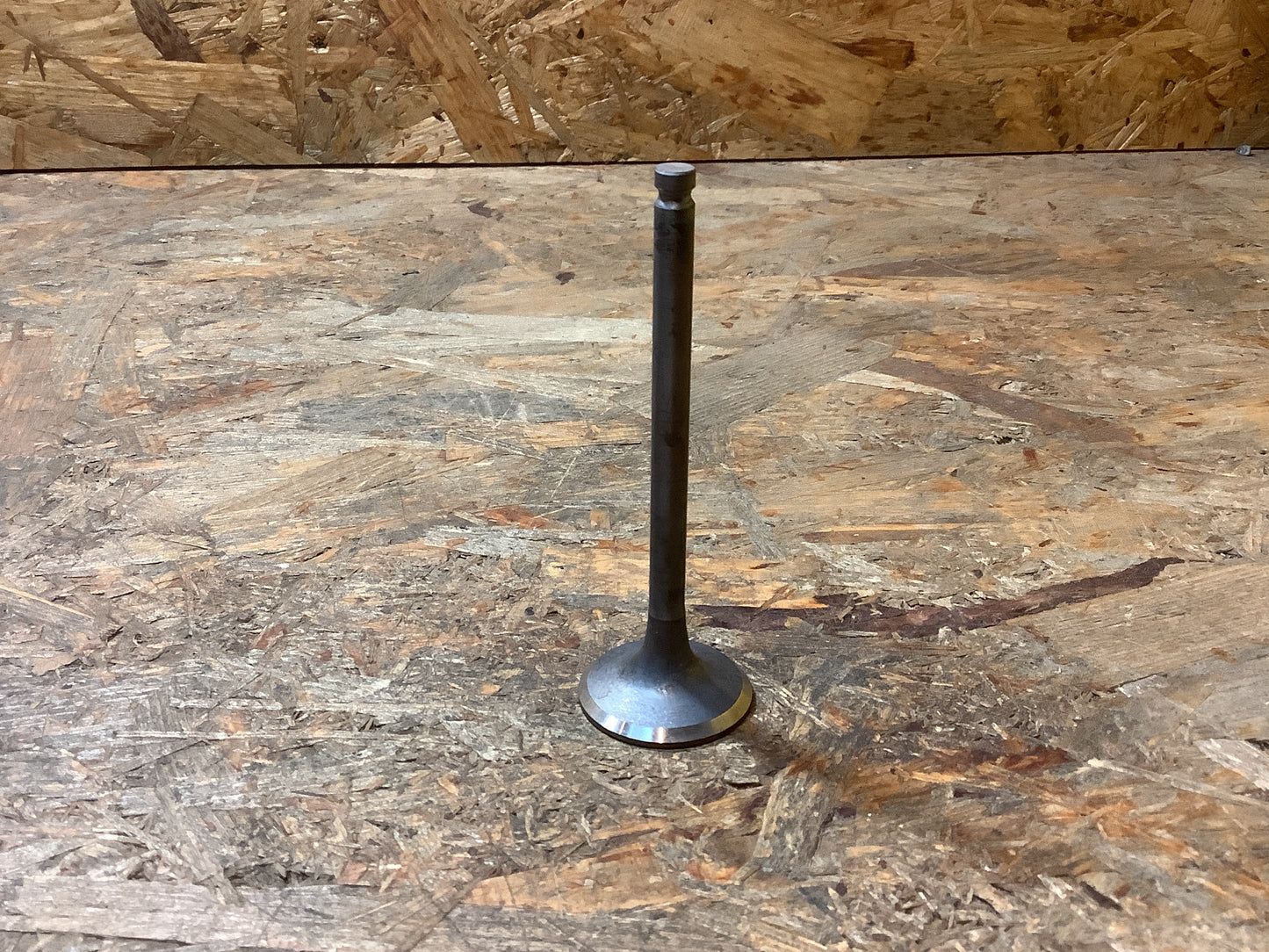 Mitsubishi Colt, T12055 Motorventil Original Mitsubishi NEU