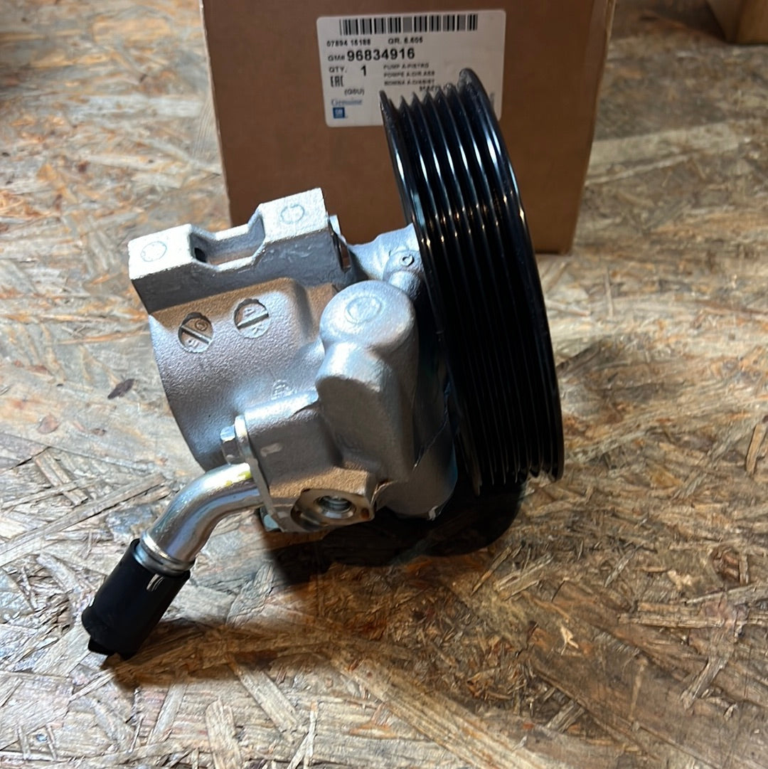 Original GM Chevrolet Rezzo Servo Pumpe NEU 96834916