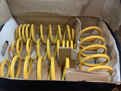 VW New Beetle 9c Tieferlegungsfedern 30mm Original MAD NEU