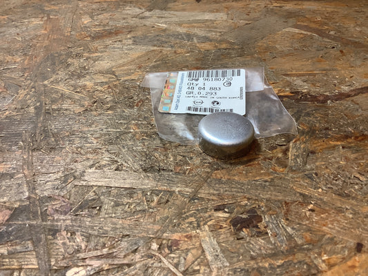 Chevrolet Lanos, Lacetti, Aveo 
Kernlochstopfen-Motorblock Original GM NEU