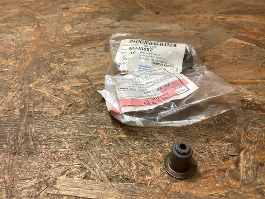 Chevrolet Spark/ Aveo Ventilschaftdichtung 1 Satz, 16 Stück Original GM NEU