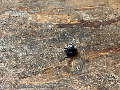 Mitsubishi Carisma Europe, DA1A Glühbirne an Uhr Original Mitsubishi NEU